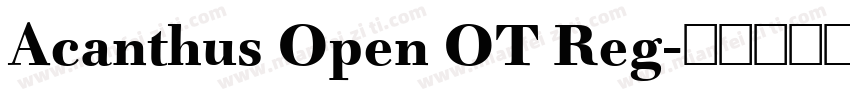 Acanthus Open OT Reg字体转换